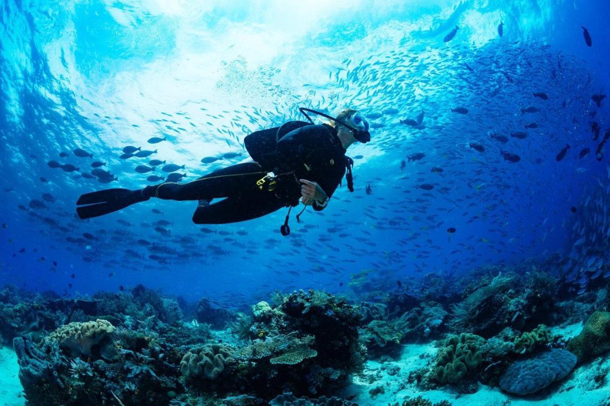 Sesimbra Natural Room And Private Access المظهر الخارجي الصورة